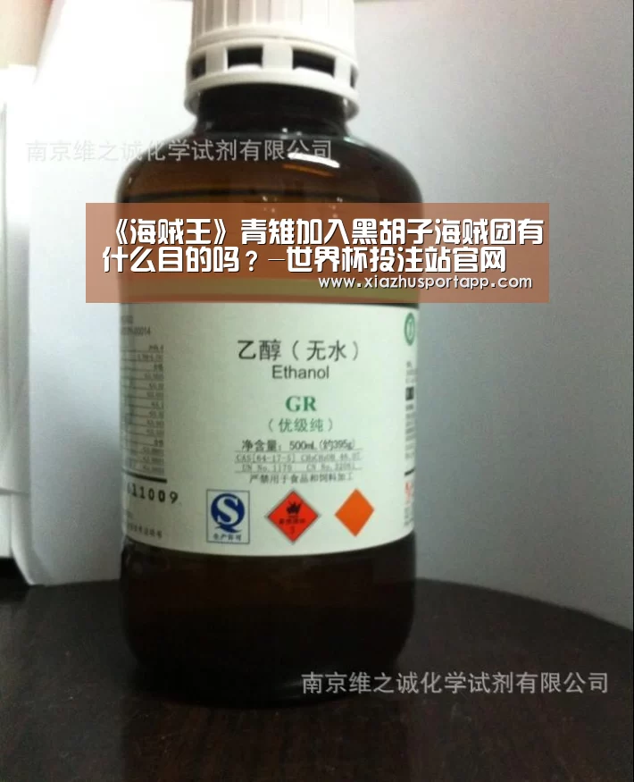 世界杯投注站